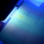 Купить диплом в Хабаровске